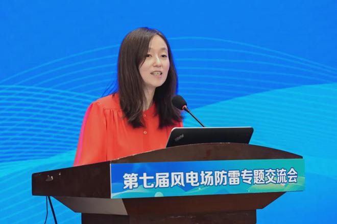 开云网站：第七届风电场防雷专题交流会在成都召开(图4)