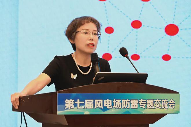 开云网站：第七届风电场防雷专题交流会在成都召开(图8)
