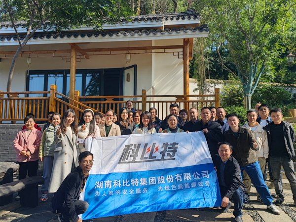 【科比特防雷】电源防雷器_监控器_信号网络(图2)