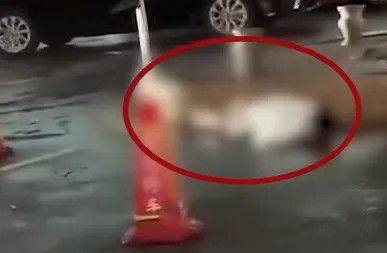 开云中国：【今日安全科普】雷雨天气这些安全知识你知道吗？(图3)