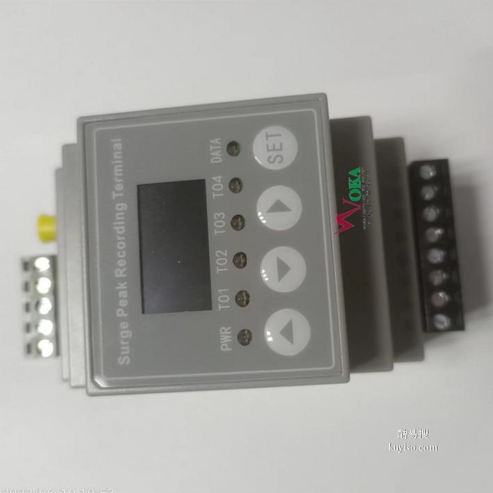 巫溪智能防雷浪涌峰值记录终端雷电预警系统(图1)