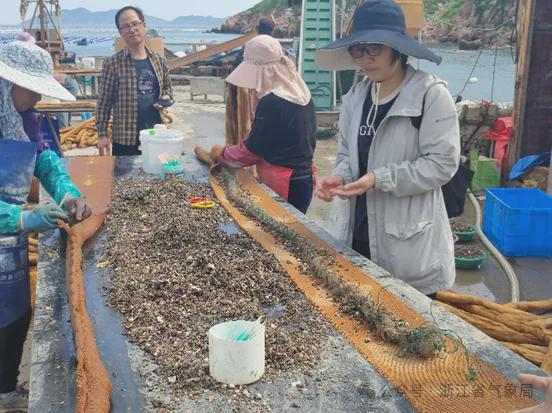 开云网站：交卷！2024年度浙江气象为民服务十件实事全部完成(图6)