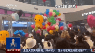 阜阳明确：严禁！(图3)