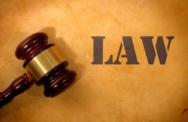 广州丨工人雨天在农田施肥耕作过程中被雷击中不幸去世！雇主该赔吗？(图4)