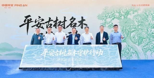 平安古树名木守护行动陕西站启动(图1)